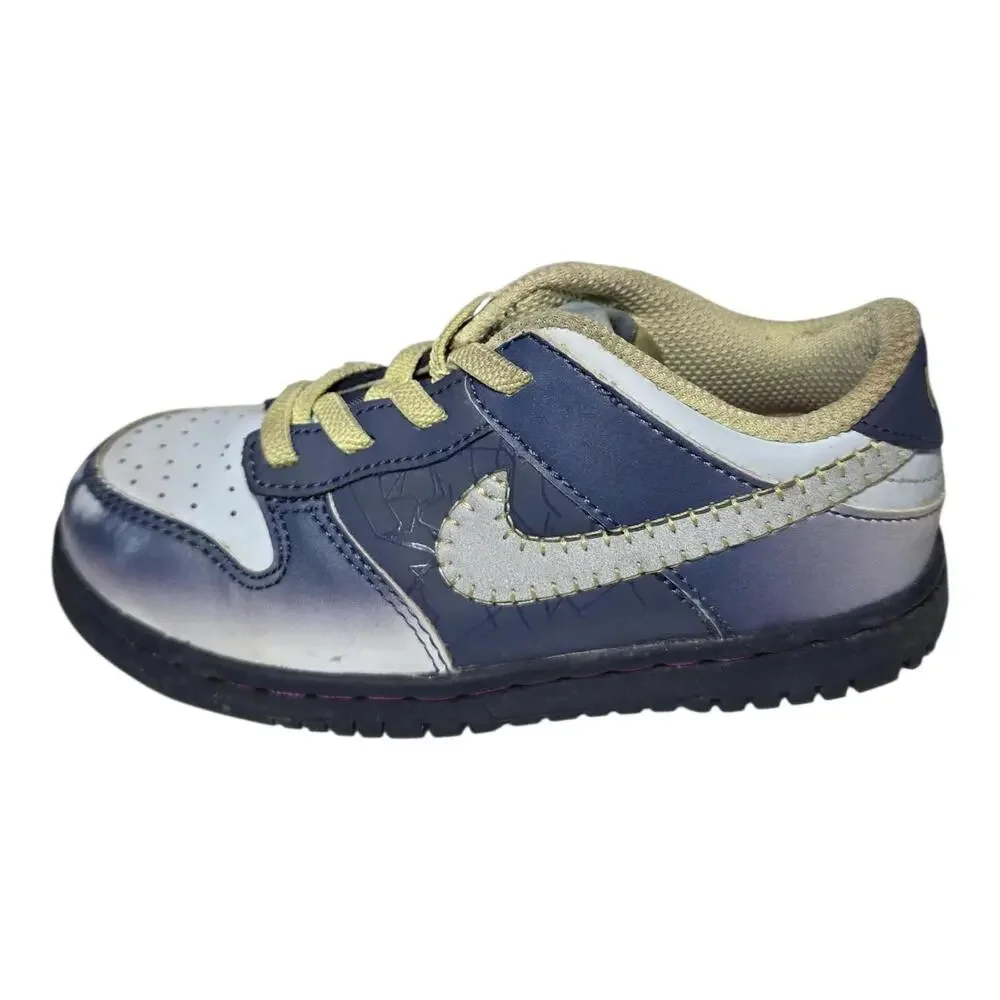 Nike‎ Dunk Low PS “I Am Fearless” Blue Grey Kids Sneakers 10C FQ8358-491 Rare